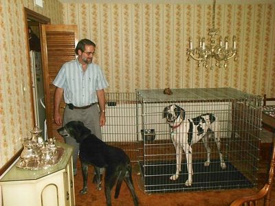 1268 3 Jerry with dogs Straipsniai.lt