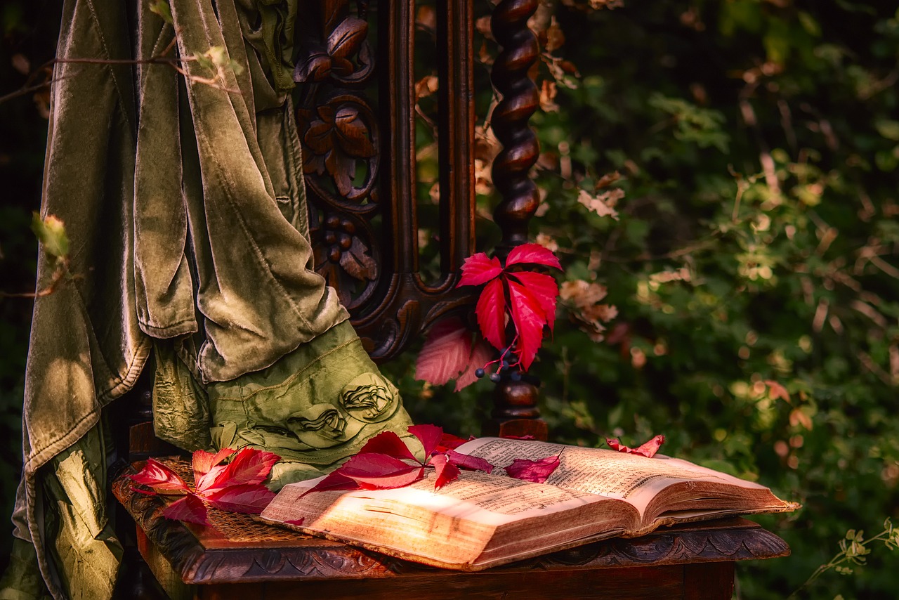 still life, book, chair