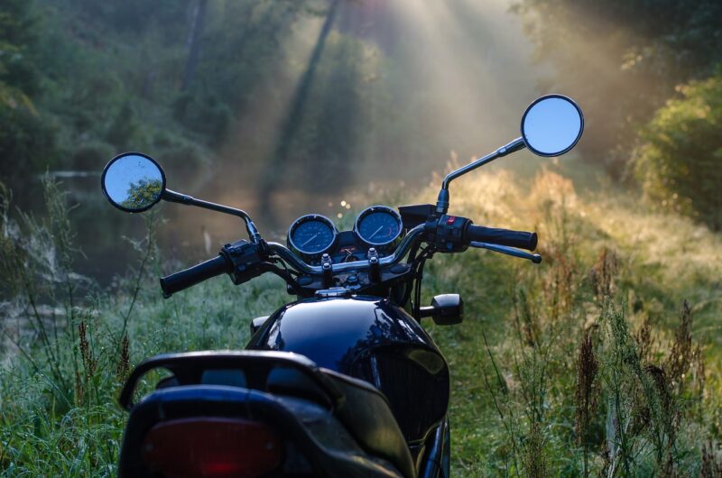 motorcycle, morning, forest