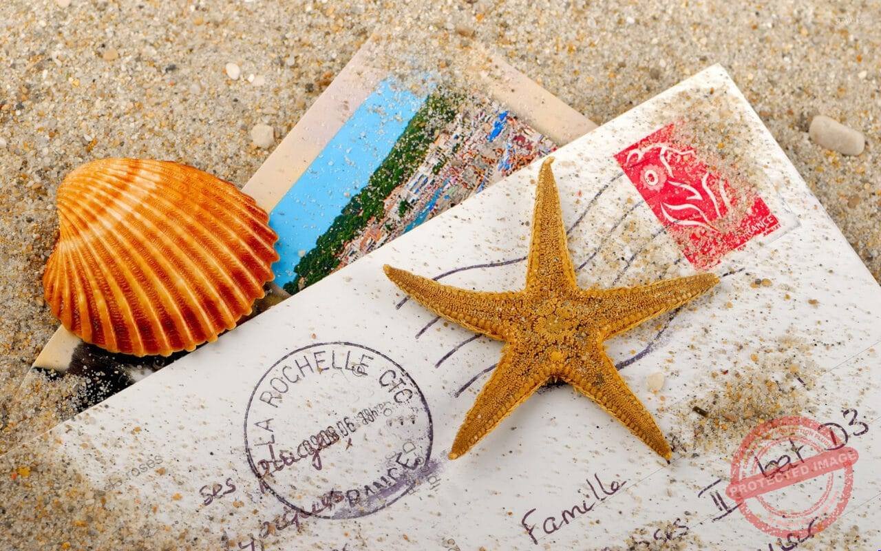 Starfish And Shell On The Letter