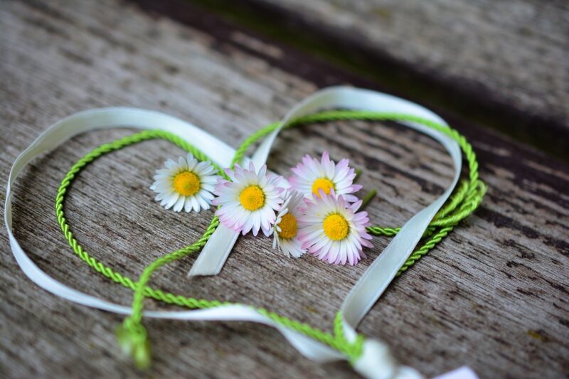 daisy, heart, romance