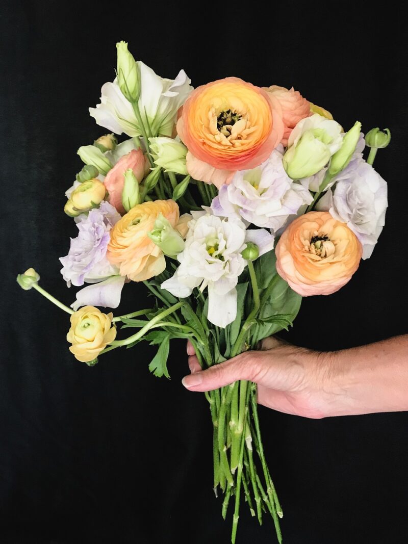 bouquet, beautiful flowers, nature