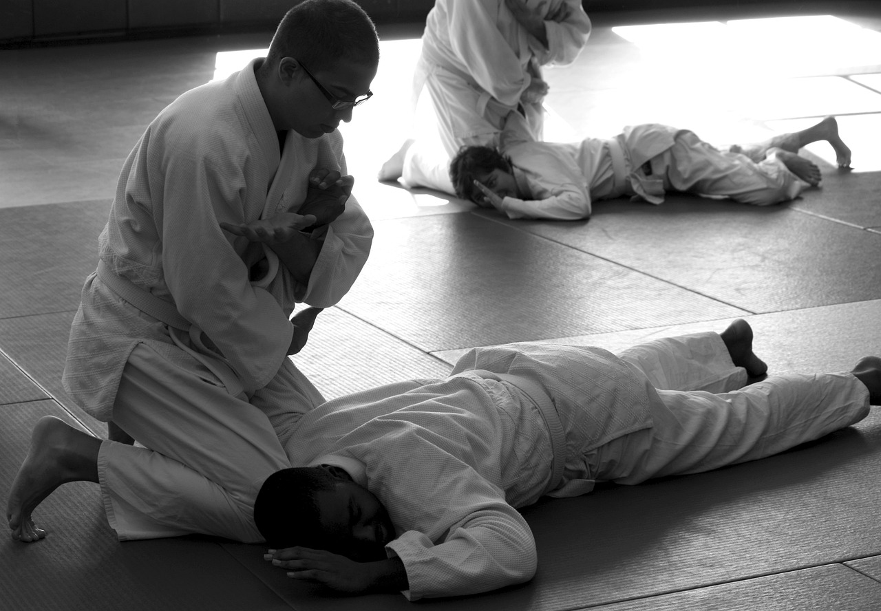 aikido, martial arts, self-defense