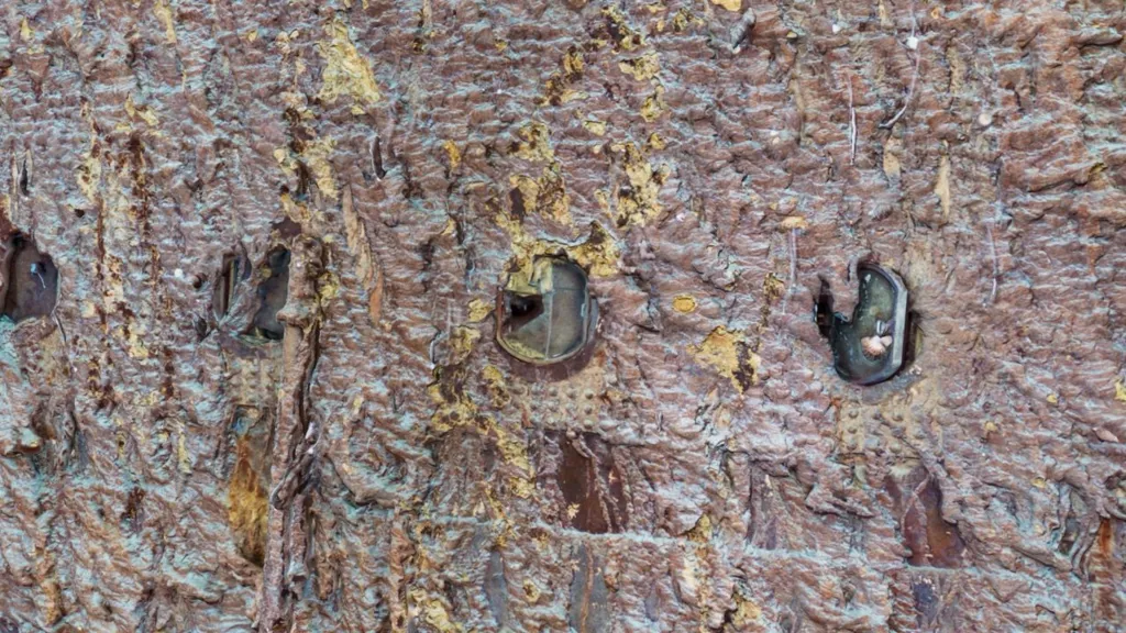 3d titanic 3 Straipsniai.lt