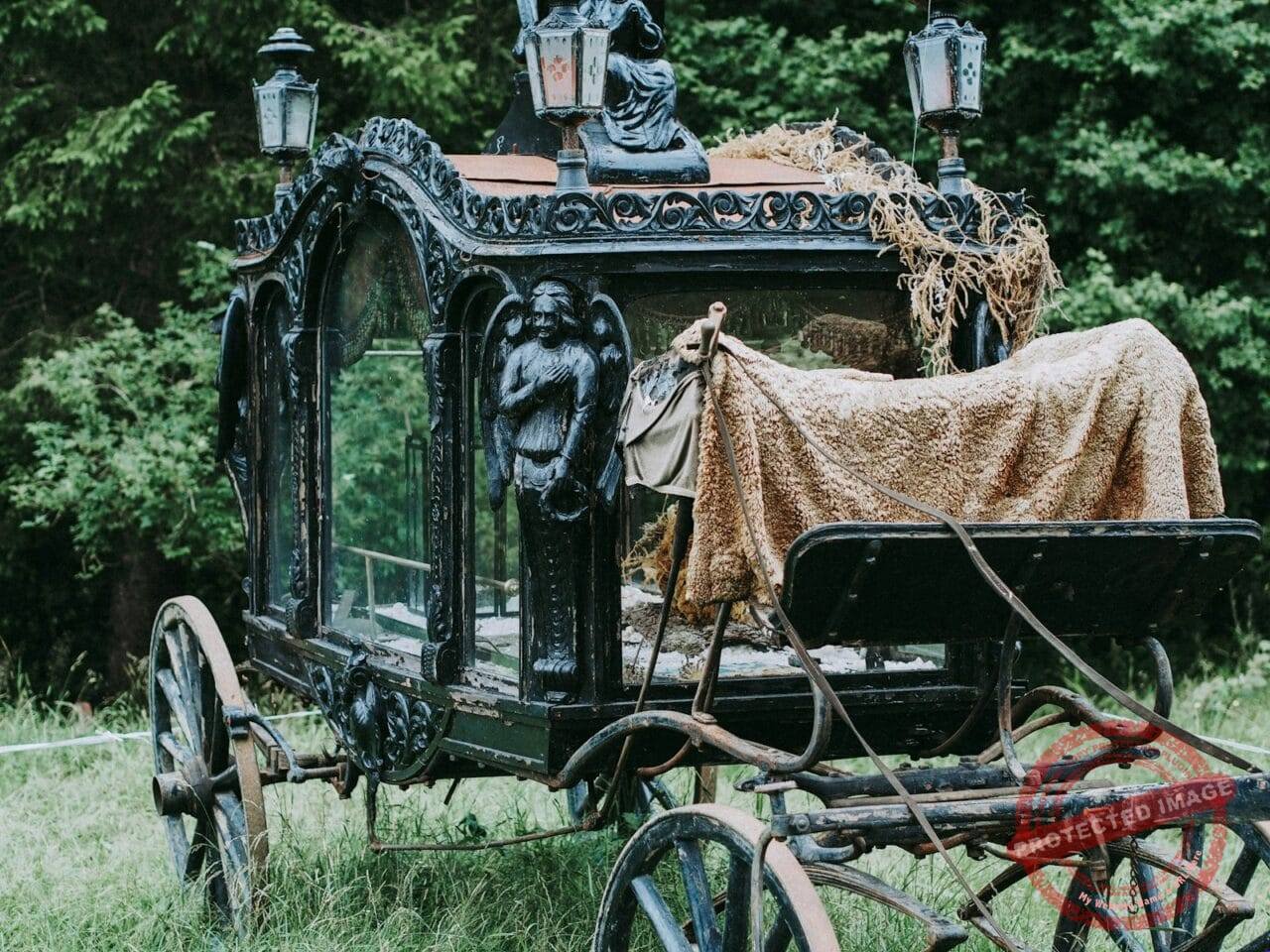 black and brown metal carriage on grass field