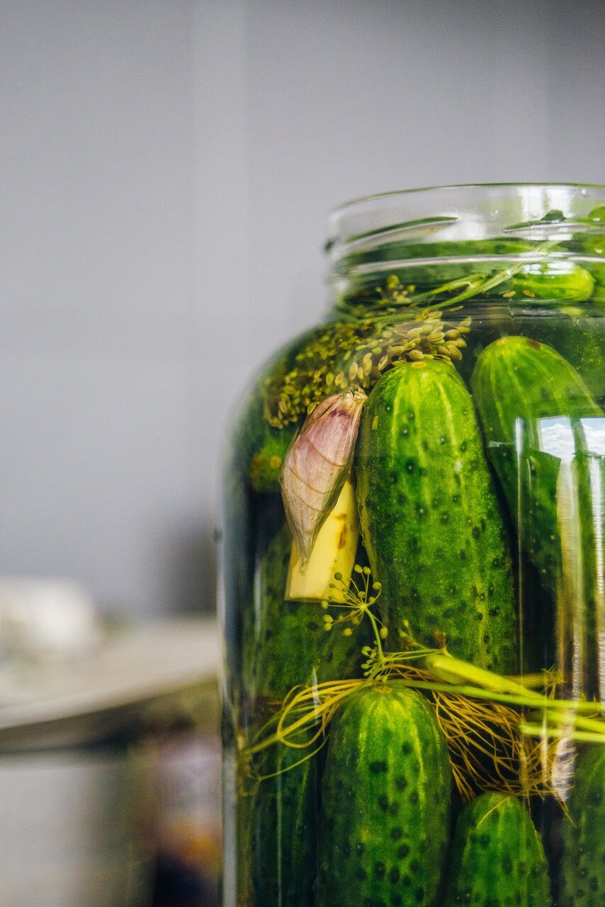 pickled cucumbers, silage, cucumber