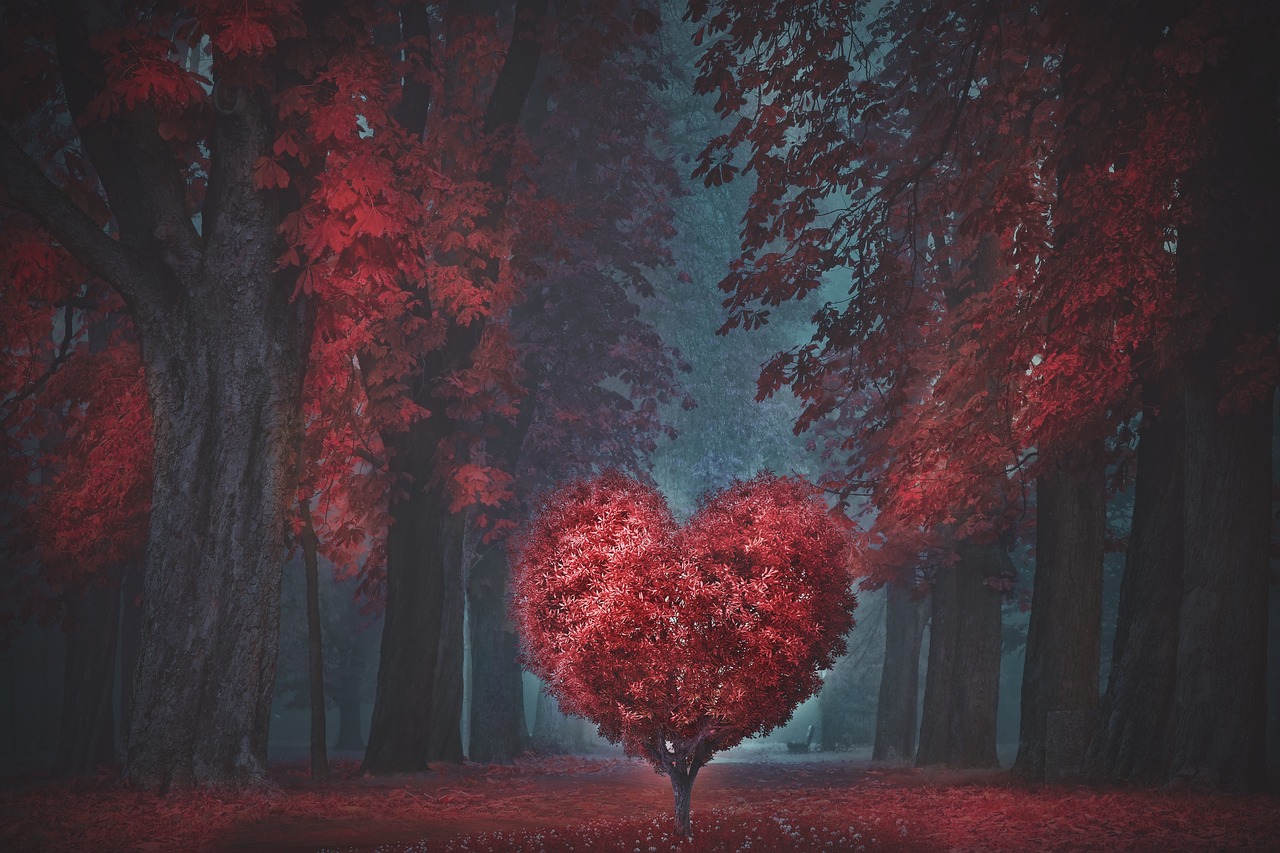 valentine's day, nature, heart