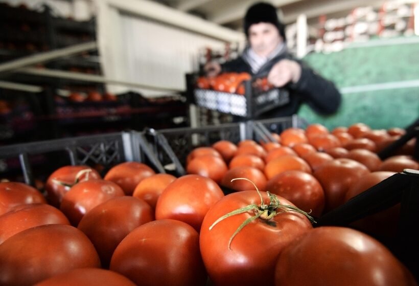 Pomidorai: nauda ir žala sveikatai. Įdomūs faktai %d0%bf%d1%80%d0%be%d0%b4%d0%b0%d0%b6%d0%b0-%d0%bf%d1%80%d0%be%d0%b4%d1%83%d0%ba%d1%82%d0%be%d0%b2-%d0%b8%d0%b7-%d1%81%d0%b8%d1%80%d0%b8%d0%b8-%d0%b2-%d0%bc%d0%be%d1%81%d0%ba%d0%b2%d0%b5