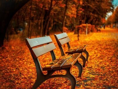 benches, autumn, park