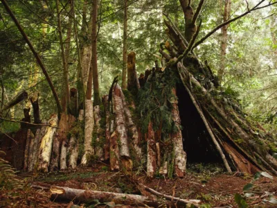 Išgyvenimas miške: Pagrindiniai įgūdžiai ir pasiruošimas