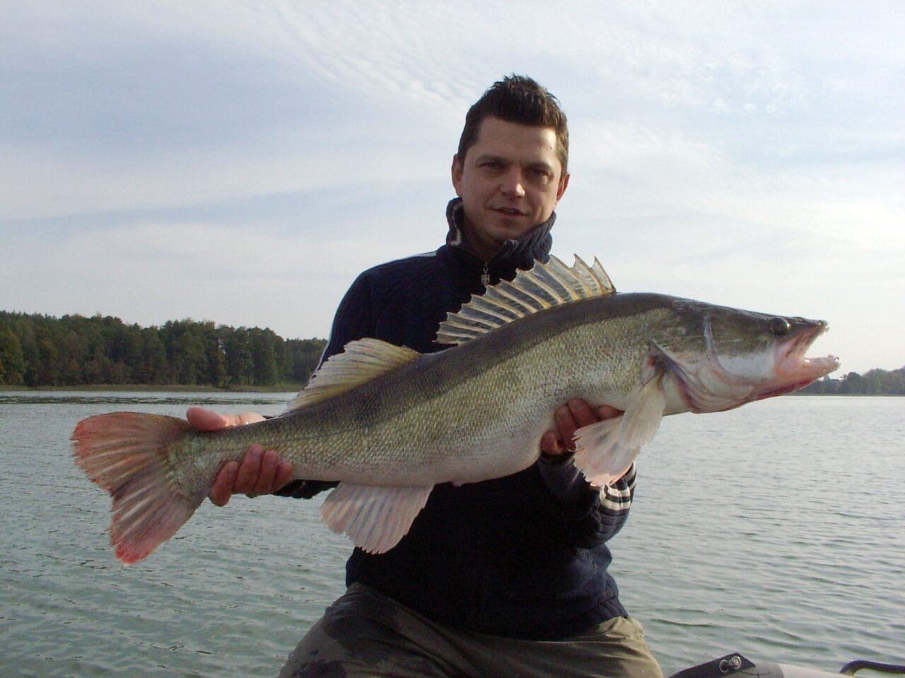6.2 kg Starkis Straipsniai.lt