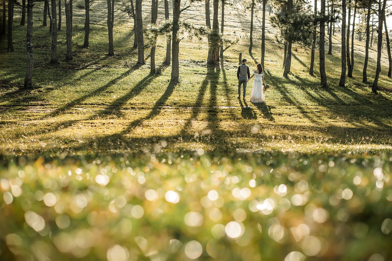 wedding, love, couple