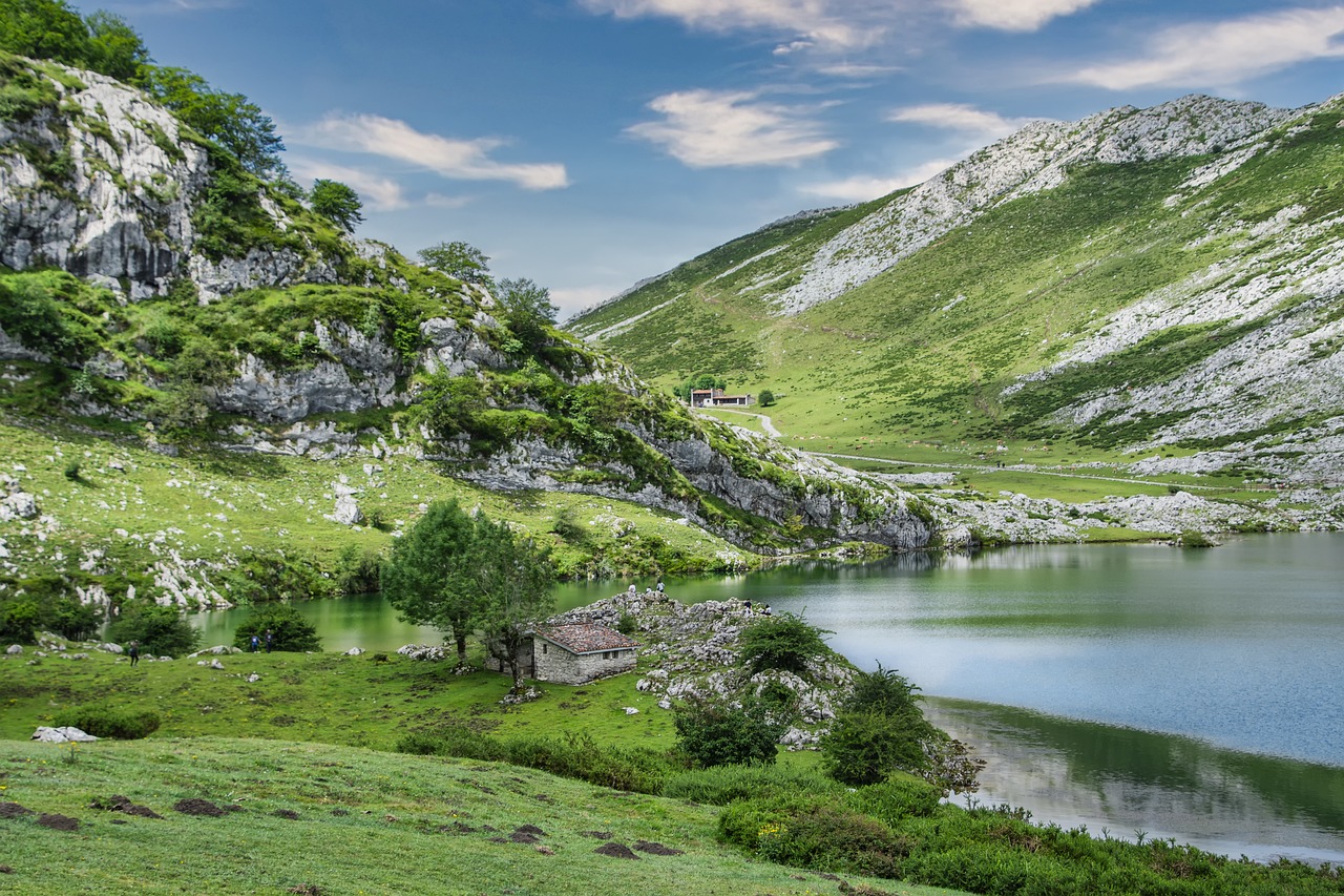 lake, nature, travel