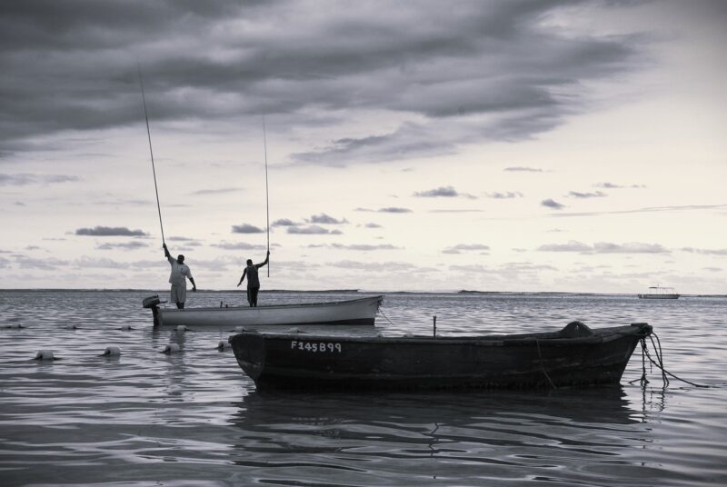 fishing, sea, nature