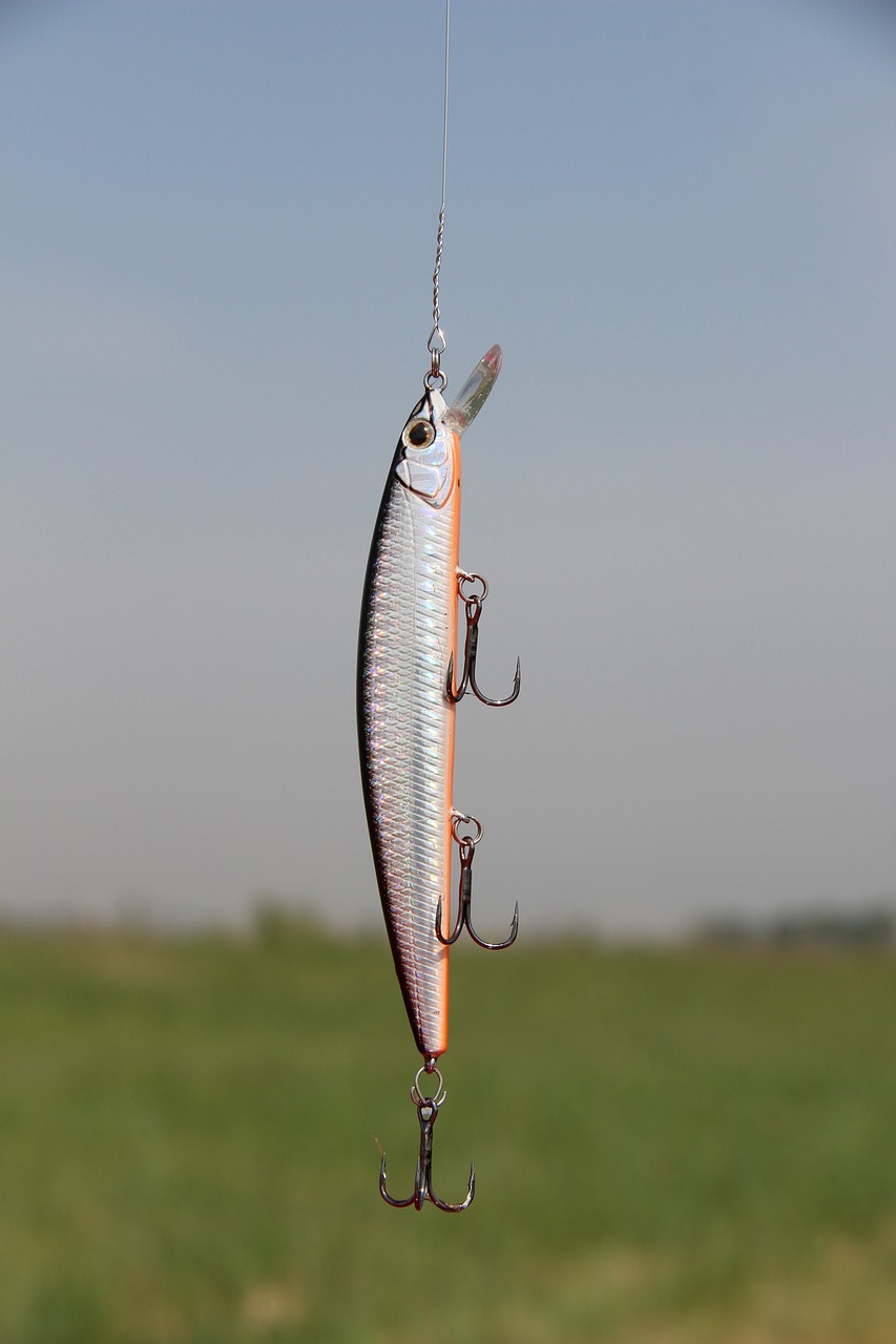 plug, nature, fishing