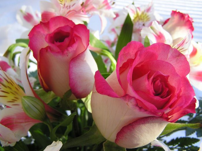 8226 Beautiful Bouquet with Roses Straipsniai.lt