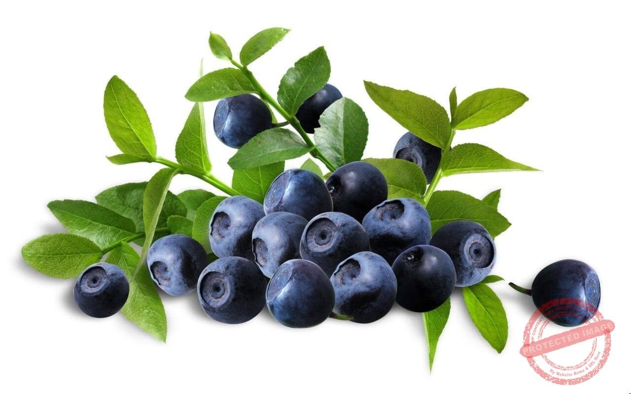 Blueberry