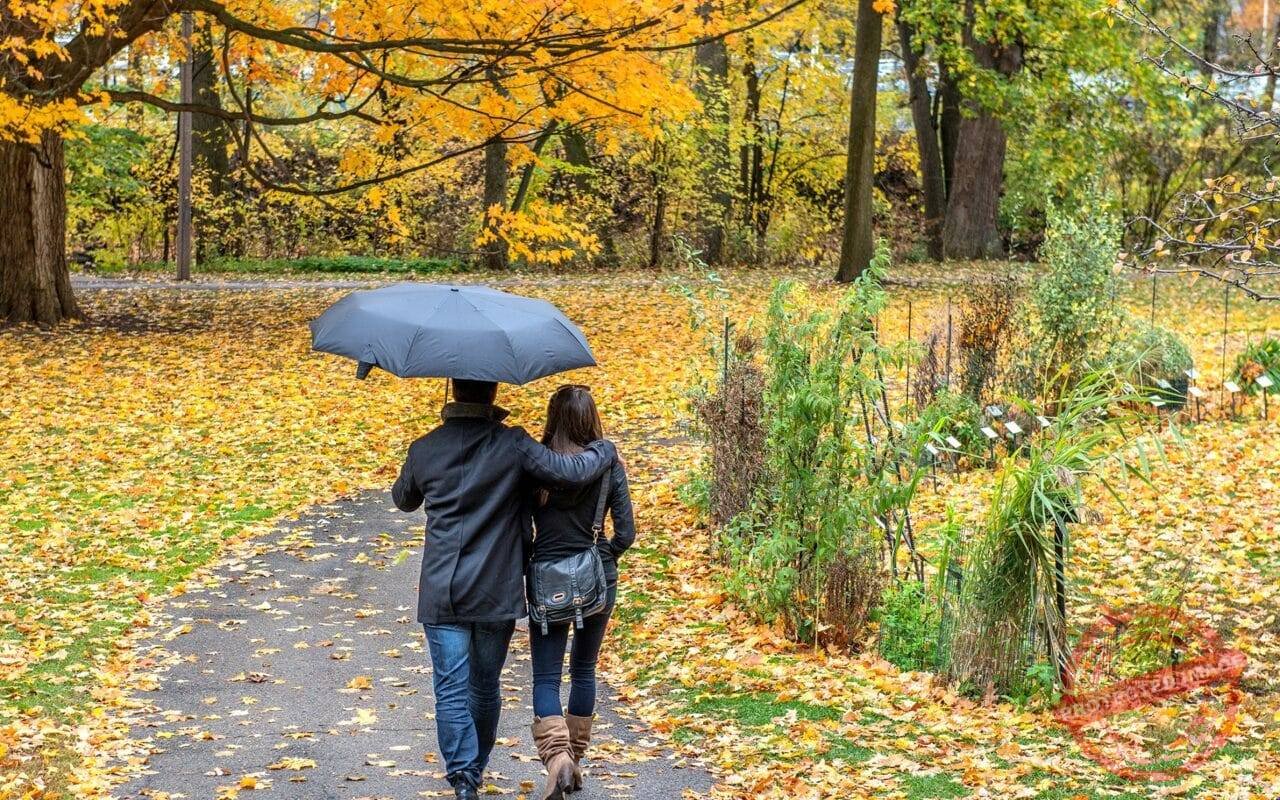 Couple walks in park with umbrella nice image