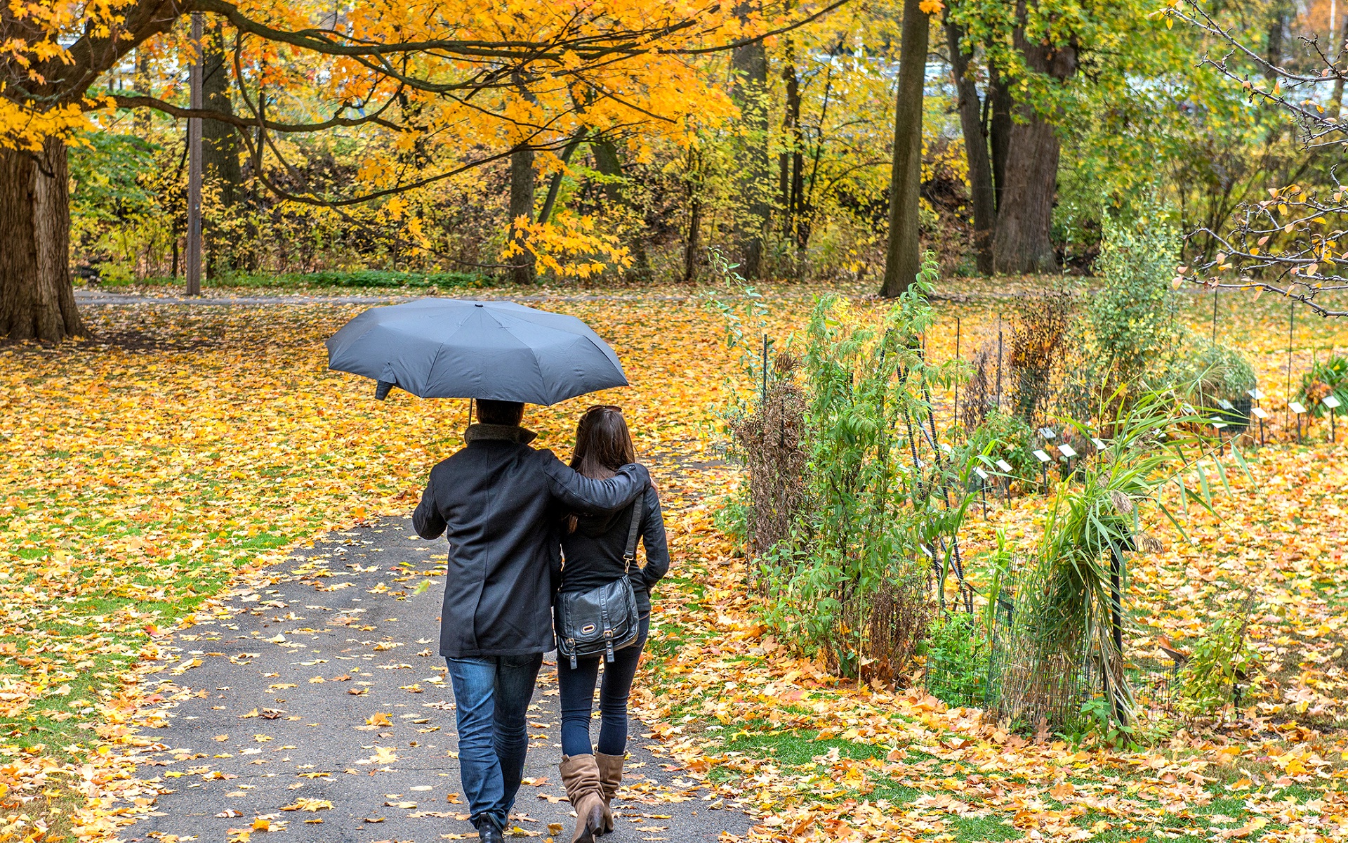 Couple walks in park with umbrella nice image Straipsniai.lt