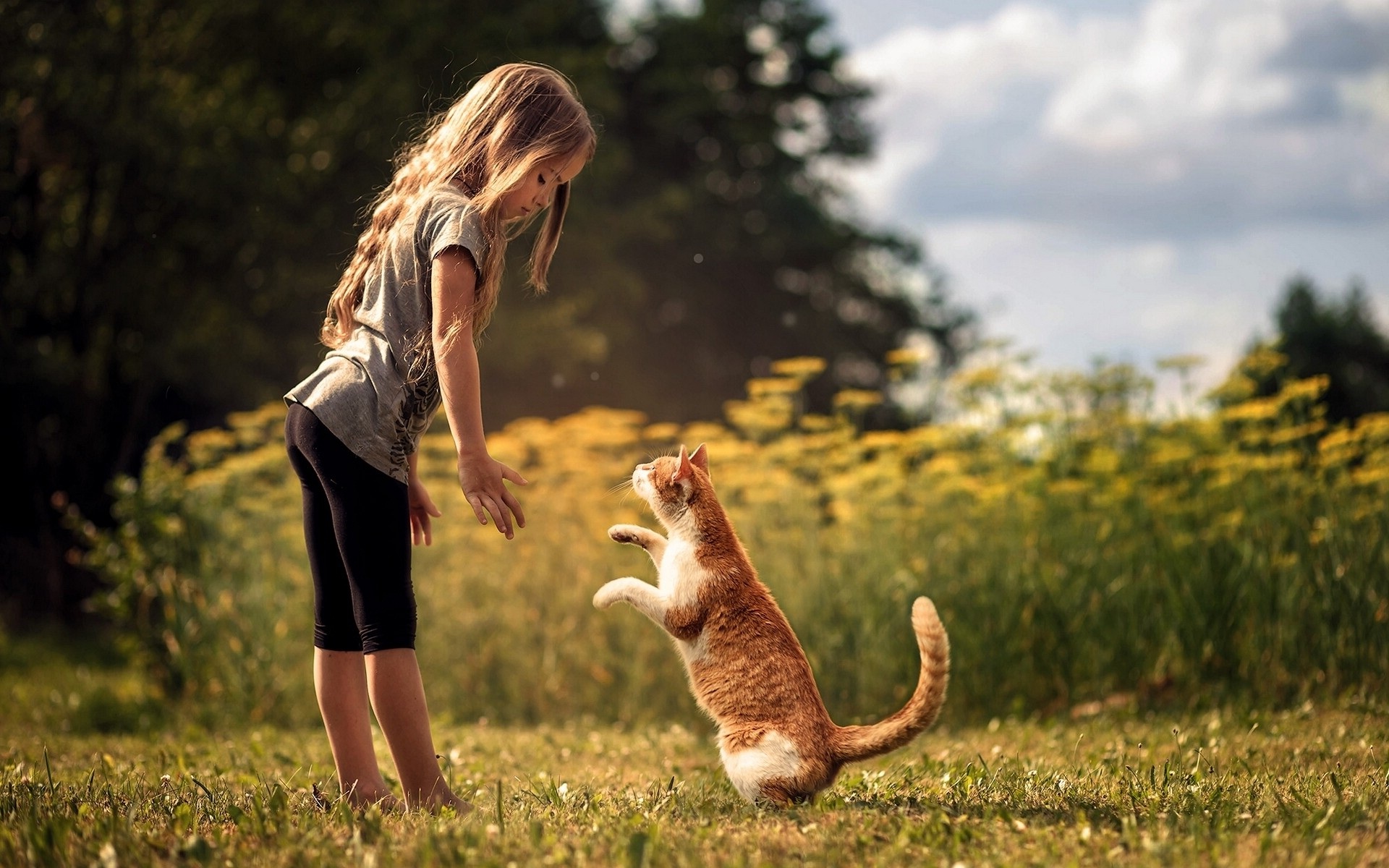 Cute baby girl with cat friendship wallpapers Straipsniai.lt