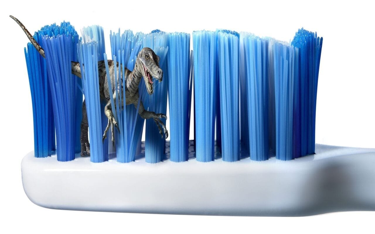 Dinosaur In Toothbrush Funny Images