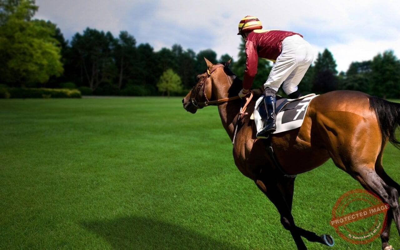 Hip To Be Square At The Derby