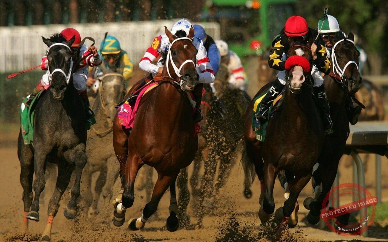 Horse Race Stunt By Player