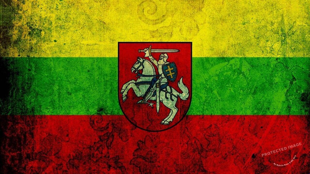 Lietuvos veliava Vytis kovo 11 eitynes