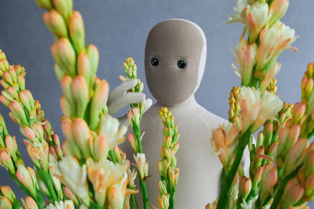 NEO by 1X the worlds first humanoid robot built for everyday living