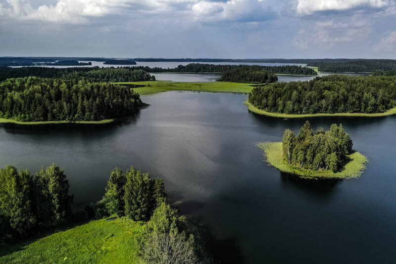 Žuvų populiacinių parametrų būklė ir dinamika. Ežerai