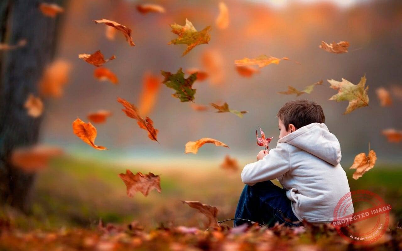 Sad Boy
