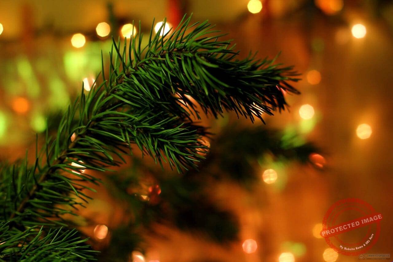 Christmas tree