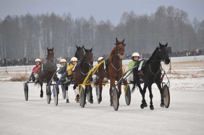 Tradicinės respublikinės ristūnų žirgų žiemos lenktynės ,,Sartai” Dusetose