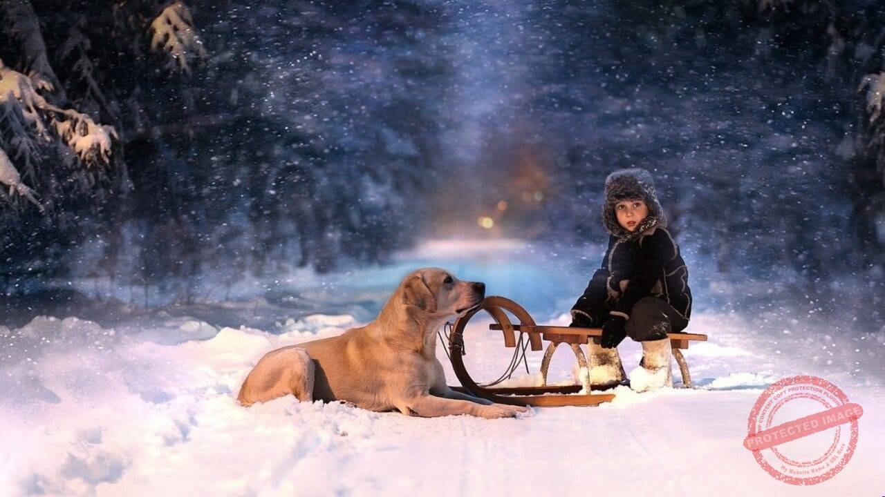 Small baby with dog snow fall
