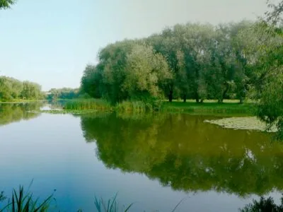 Ant Trinyčių tvenkinio smagu žvejoti ir bendrauti