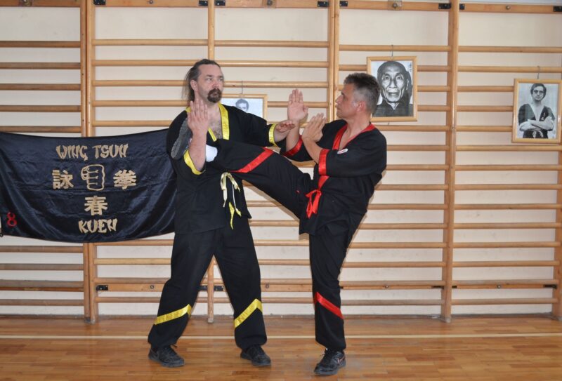 Wing Tsun technikos elementų pavadinimai