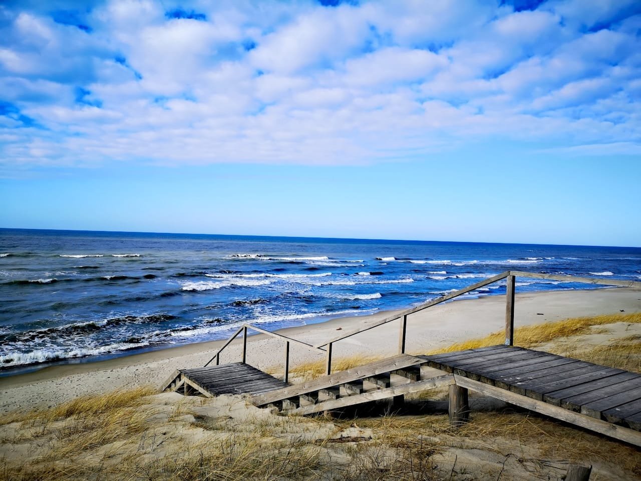 brown wooden dock on seashore during daytime