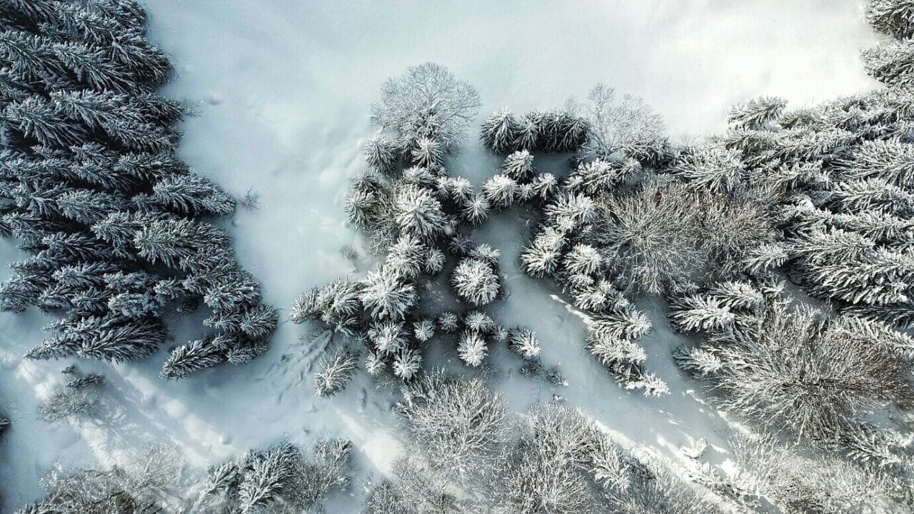 Beautiful Aerial View Forest With Trees Covered Snow Winter 181624