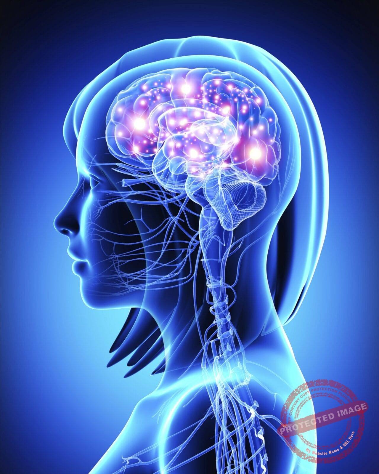Brain Neurons