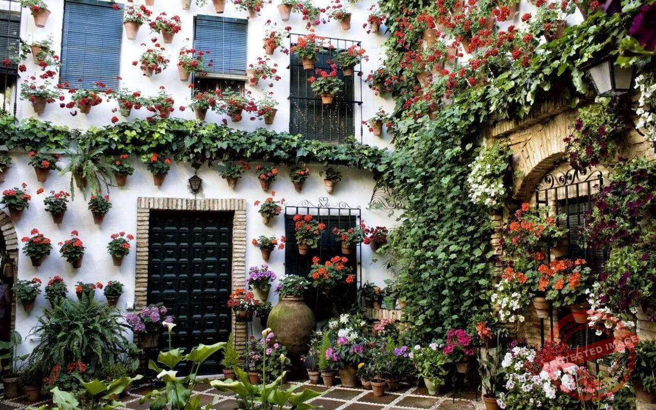 Buildings House Flowers
