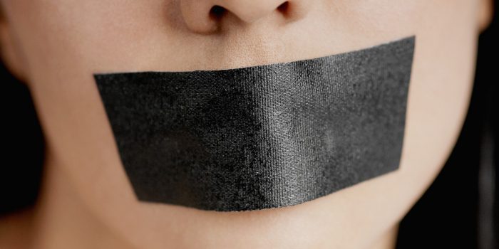 Liberaldemokratų nuomone, į Lietuvą grįžta cenzūra