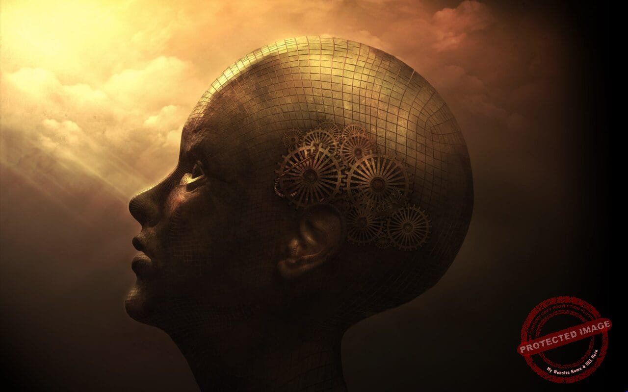 Cognition