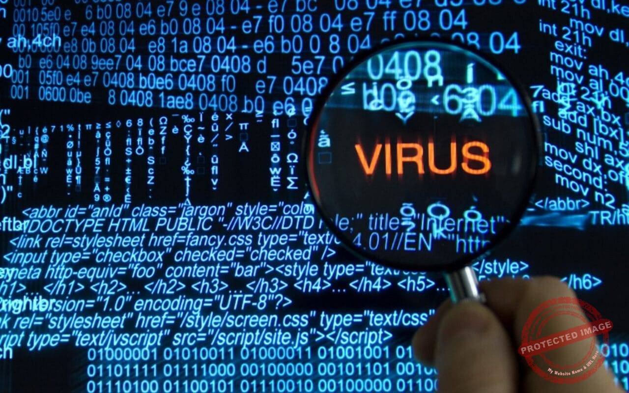 Computer Virus