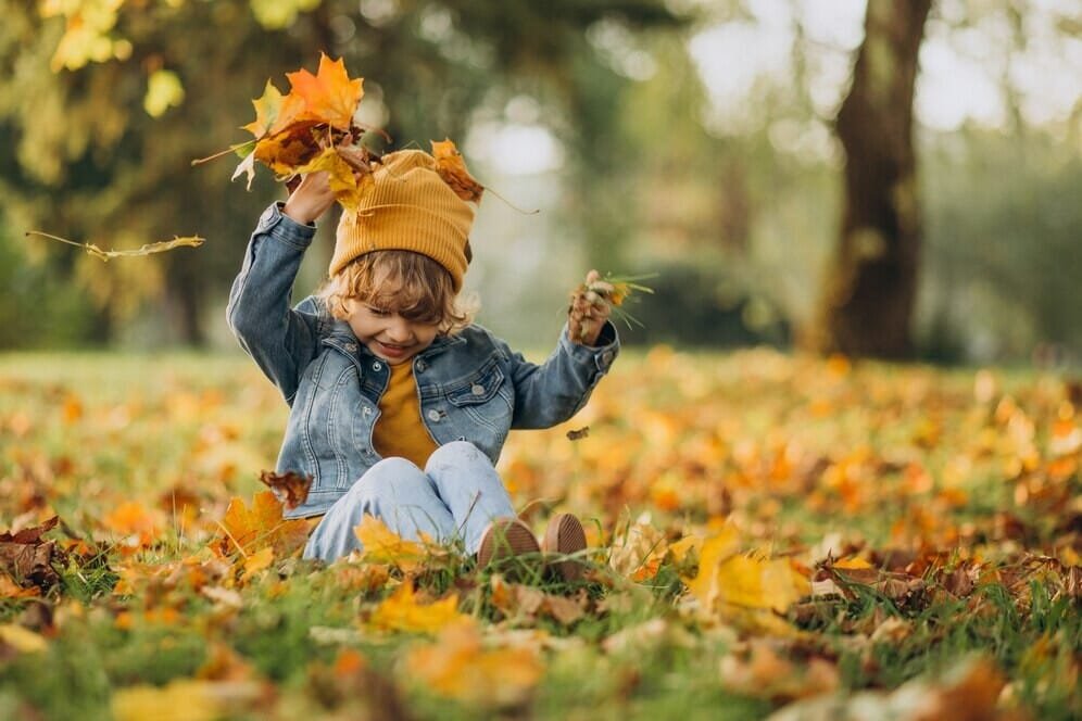 Rudens depresija