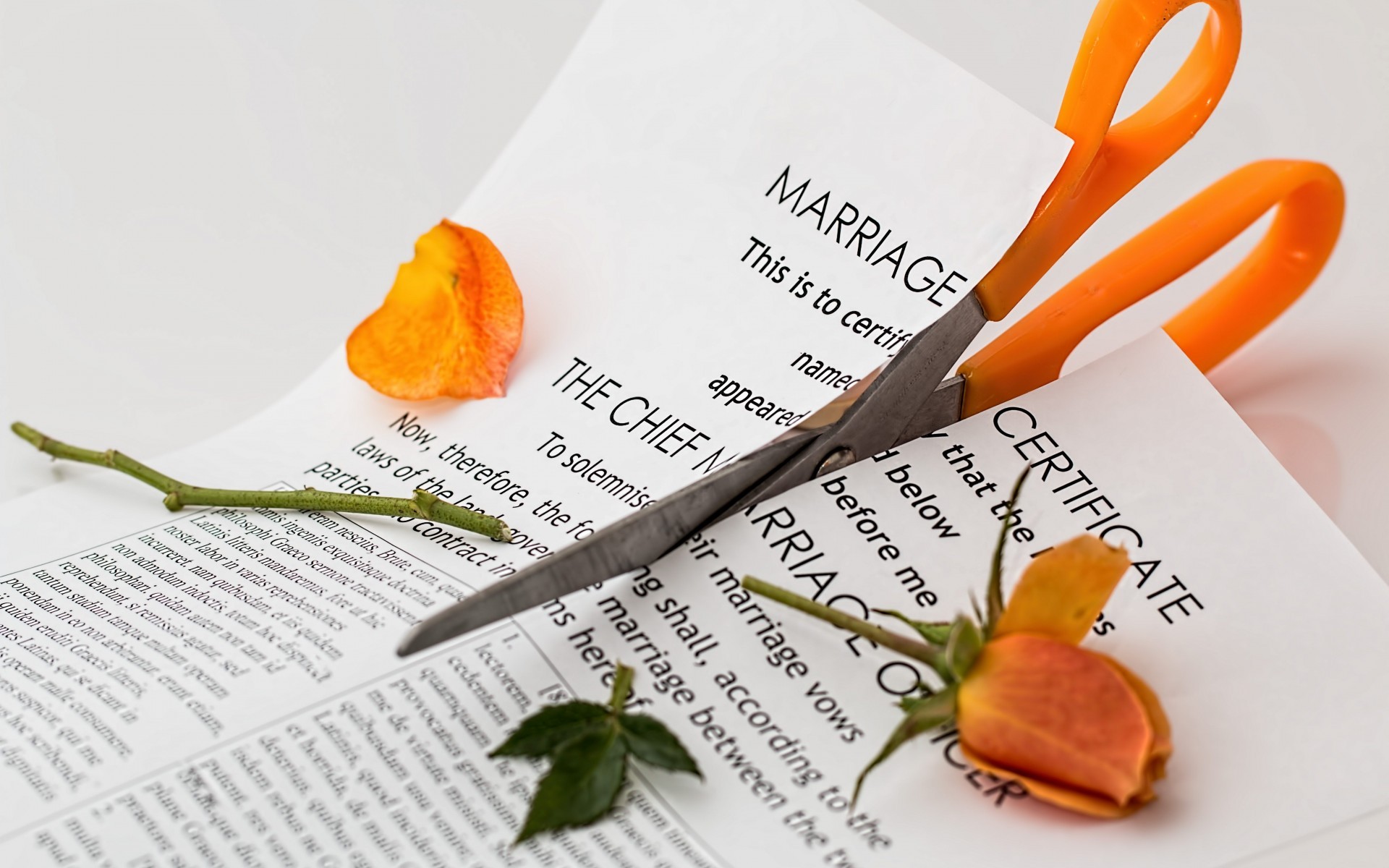 divorce letter cutting scissor petals flowers iphone Straipsniai.lt