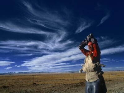 man standing near gray steel fence under white clouds during daytime