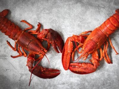 a couple of lobsters laying on top of a table