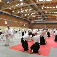 Aikido praktikavimo privalumai. Aikido nauda jūsų organizmui ir gyvenimui.