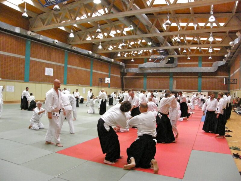 Aikido praktikavimo privalumai. Aikido nauda jūsų organizmui ir gyvenimui.