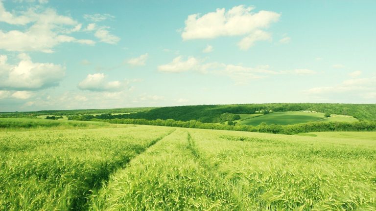 Lietuvos žemės ūkio vystymo vizija